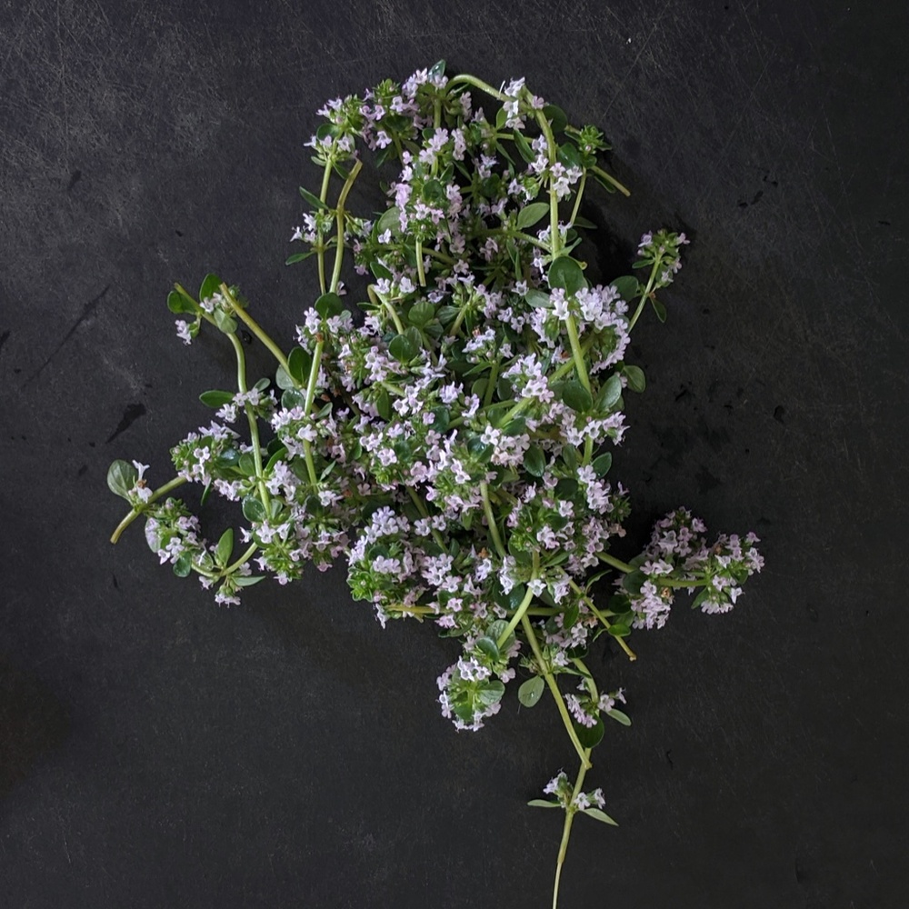 Meet your Posher, Thyme for deals
